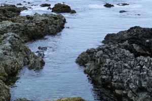OWHIRO-BAY (14)
